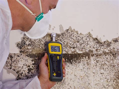 Mold Inspection and Testing 